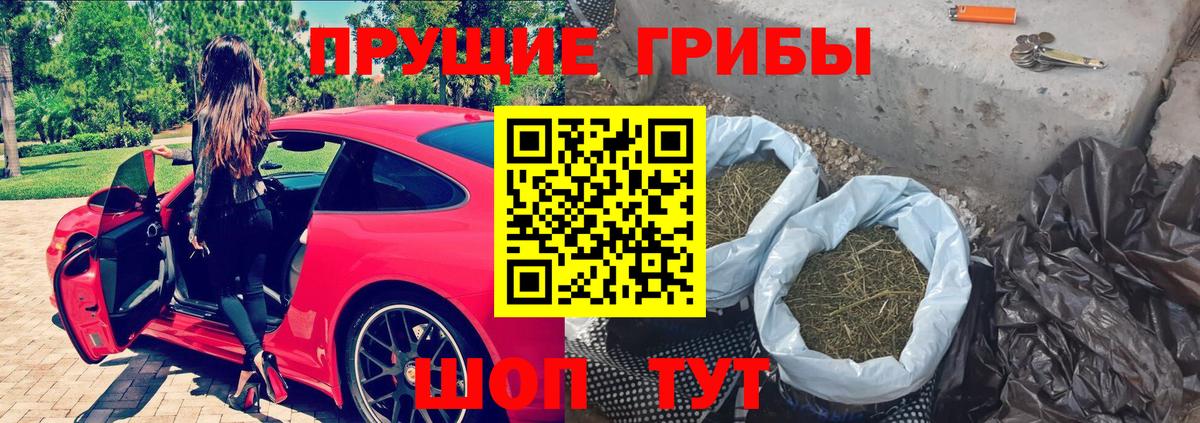 Галлюциногенные грибы MAGIC MUSHROOMS  наркотики  Энгельс  Вход с VPN 